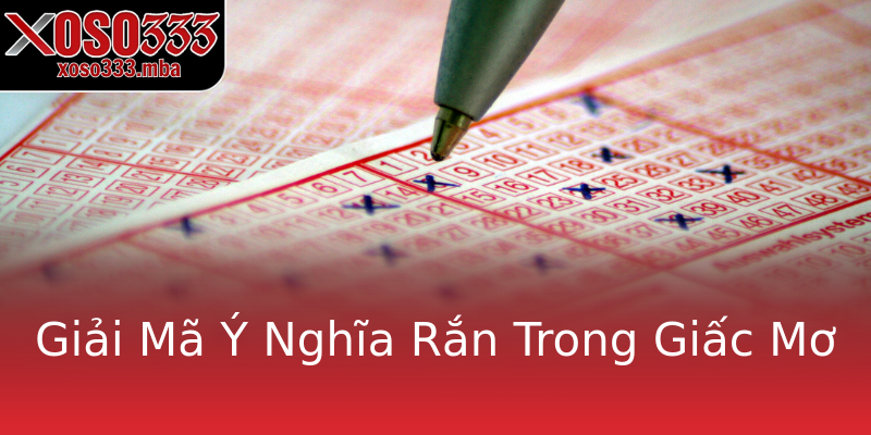 Giải Mã Ý Nghĩa Rắn Trong Giấc Mơ Giải Mã Ý Nghĩa Rắn Trong Giấc Mơ
