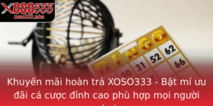 Khuyen Mai Hoan Tra Xoso333 Bat Mi Uu Ai Ca Cuoc Inh Cao Phu Hop Moi Nguoi Choi