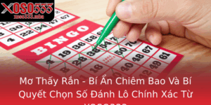 Mo Thay Ran Bi An Chiem Bao Va Bi Quyet Chon So Anh Lo Chinh Xac Tu Xoso333 2