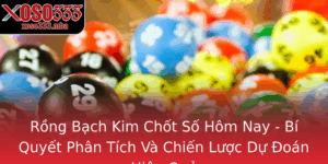 Rong Bach Kim Chot So Hom Nay Bi Quyet Phan Tich Va Chien Luoc Du Oan Hieu Qua
