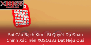 Soi Cau Bach Kim Bi Quyet Du Oan Chinh Xac Tren Xoso333 At Hieu Qua Cao