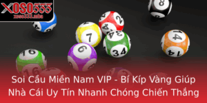 Soi Cau Mien Nam Vip Bi Kip Vang Giup Nha Cai Uy Tin Nhanh Chong Chien Thang