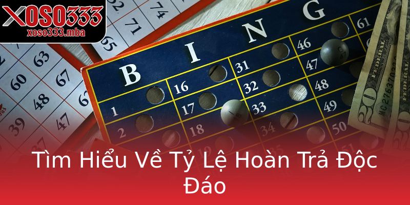 Tìm Hiểu Về Tỷ Lệ Hoàn Trả Độc Đáo Tìm Hiểu Về Tỷ Lệ Hoàn Trả Độc Đáo