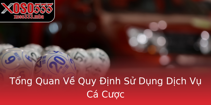 Tổng Quan Về Quy Định Sử Dụng Dịch Vụ Cá Cược Tổng Quan Về Quy Định Sử Dụng Dịch Vụ Cá Cược
